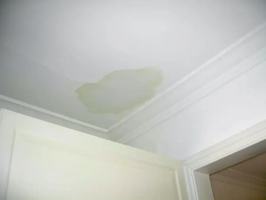 Brown water stain creeping across a white ceiling beside the crown molding