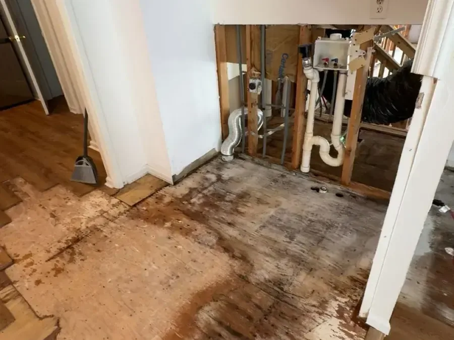 Plumbing exposed behind an opened wall with the wet flooring peeled back